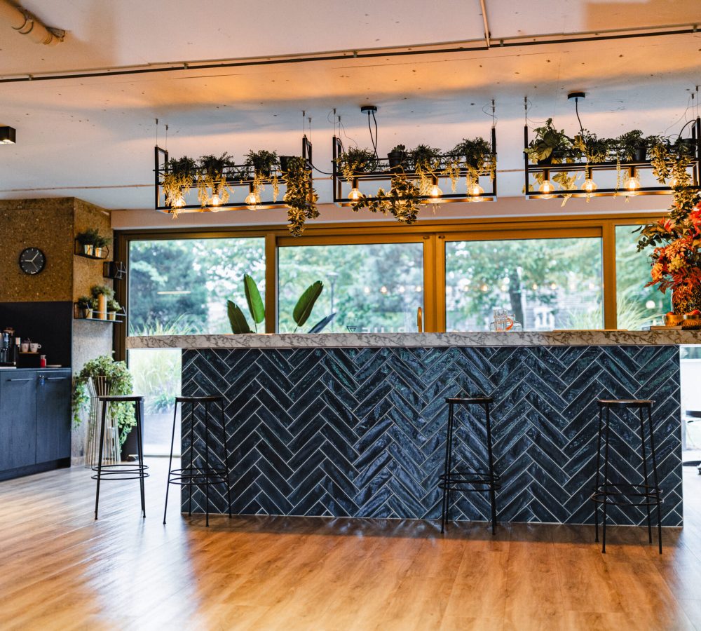 Bluezone overview-14