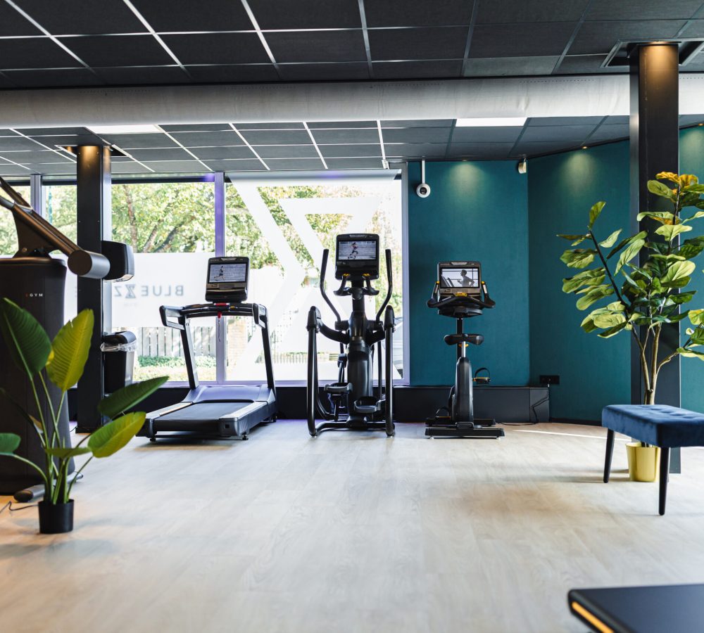 Bluezone overview-56